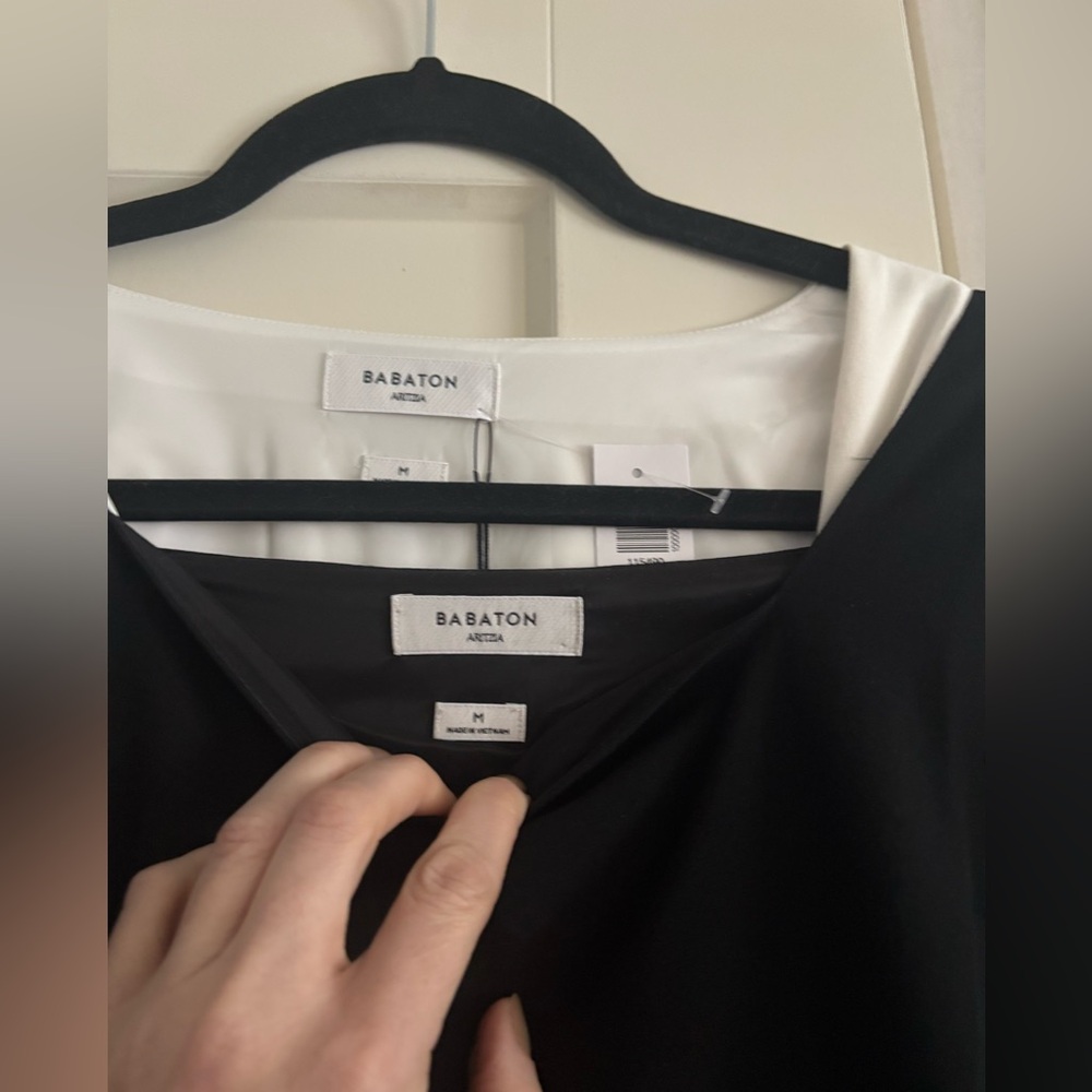 (Bundle of two) Aritzia Wilfred Prestige dress